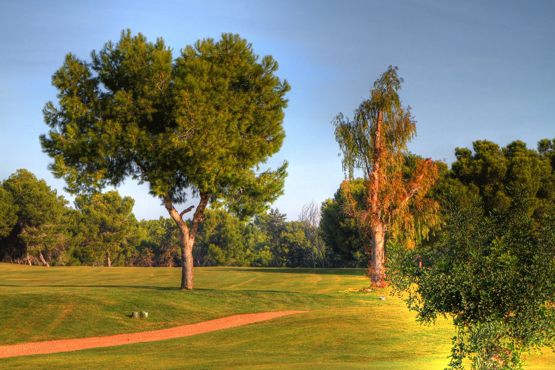 IMG_8655_3_4_tonemapped.jpg