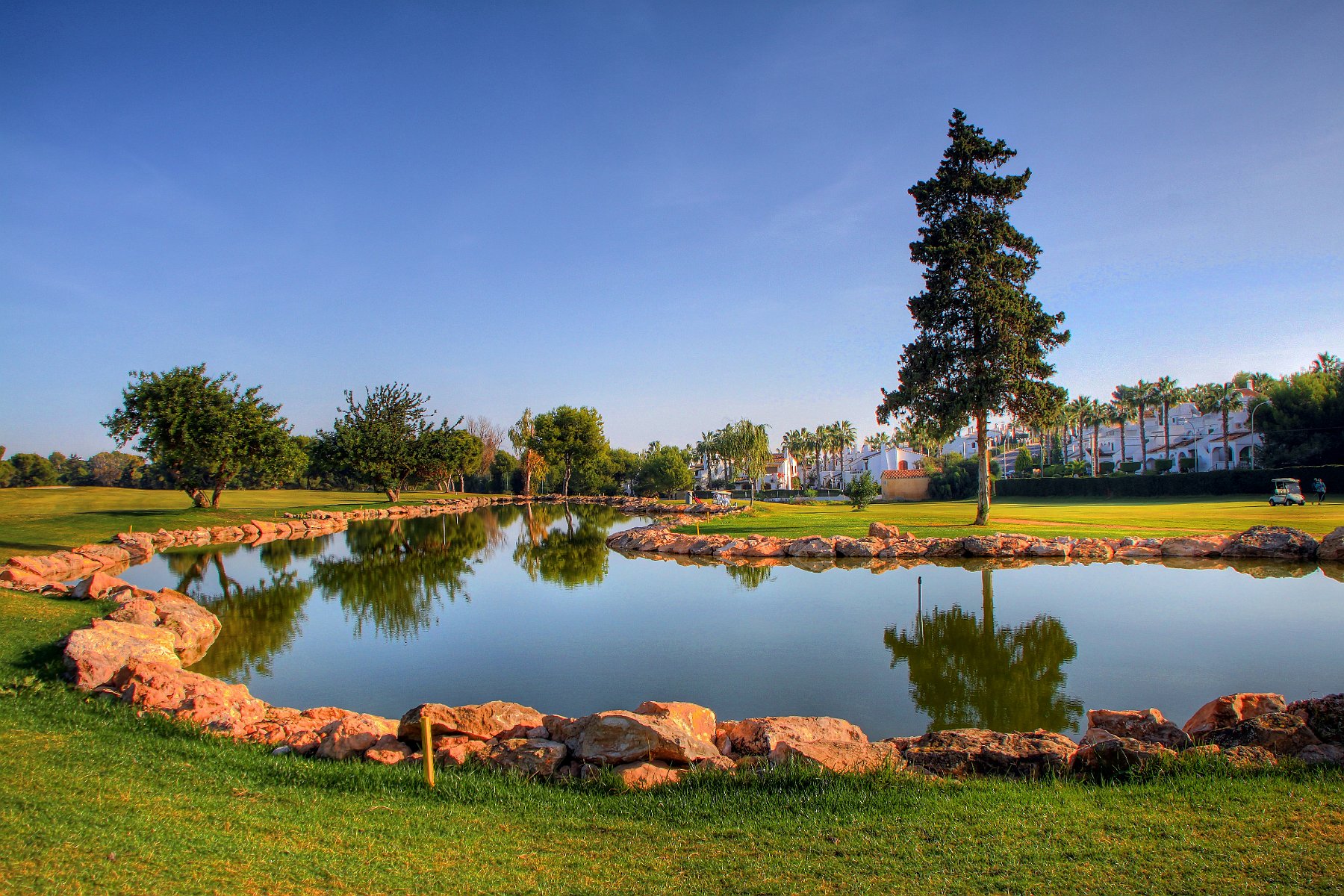 IMG_8659_7_8_tonemapped.jpg