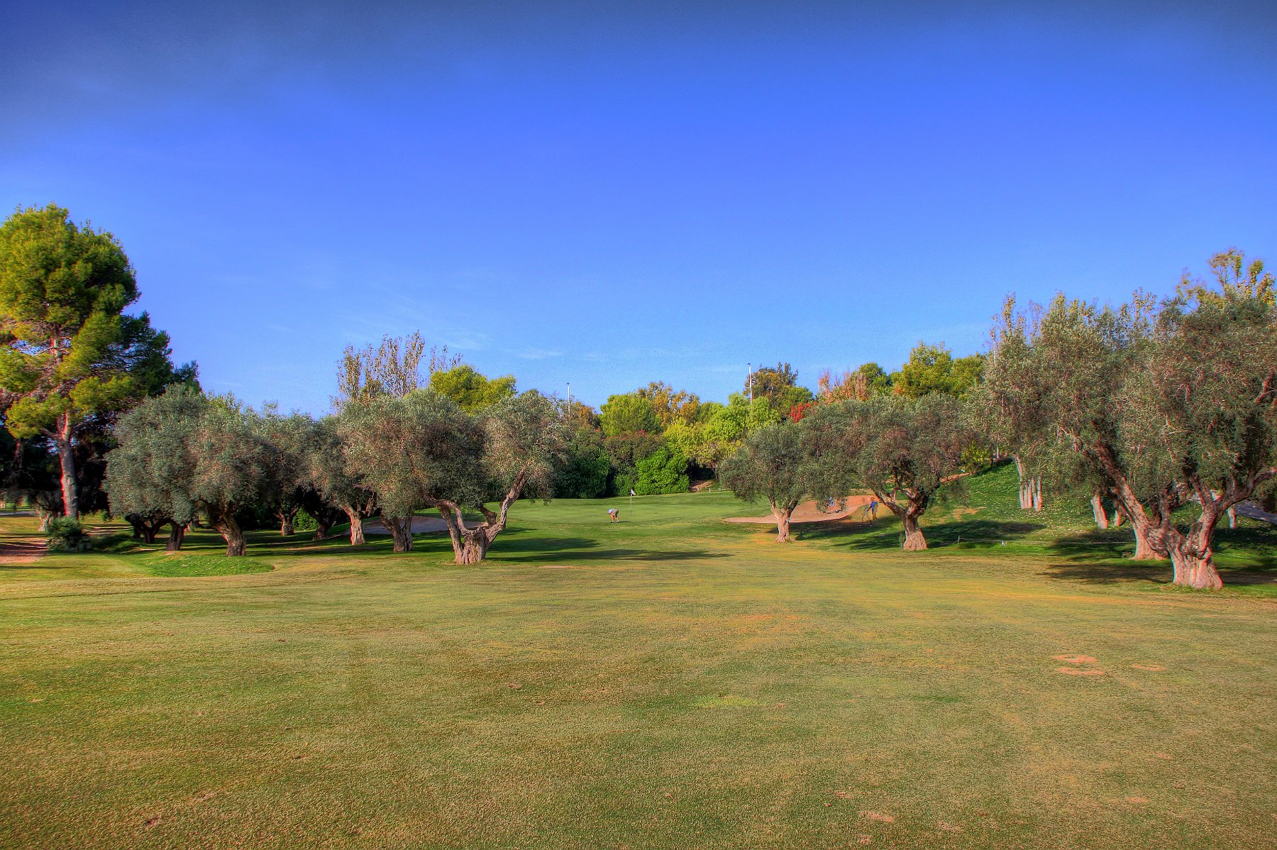 IMG_8679_7_8_tonemapped.jpg