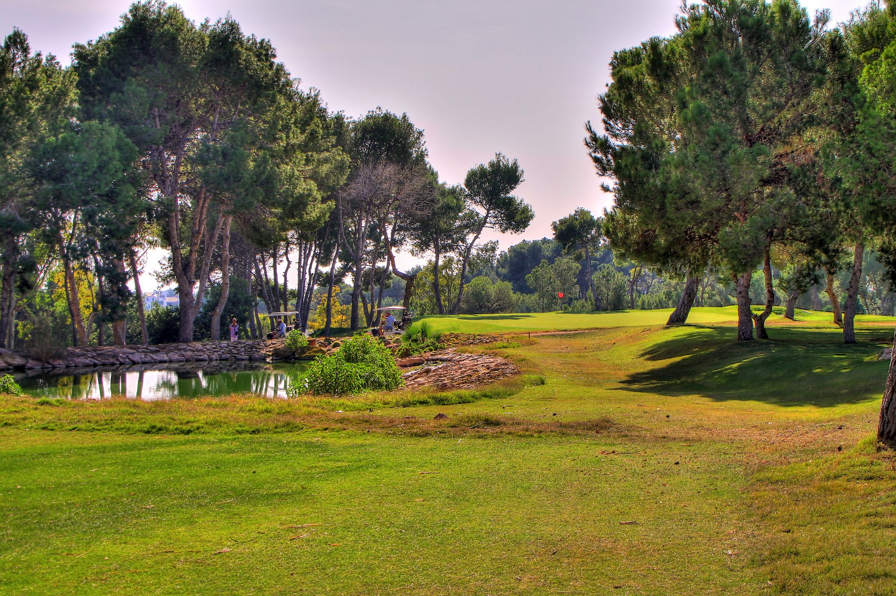 IMG_8684_2_3_tonemapped.jpg