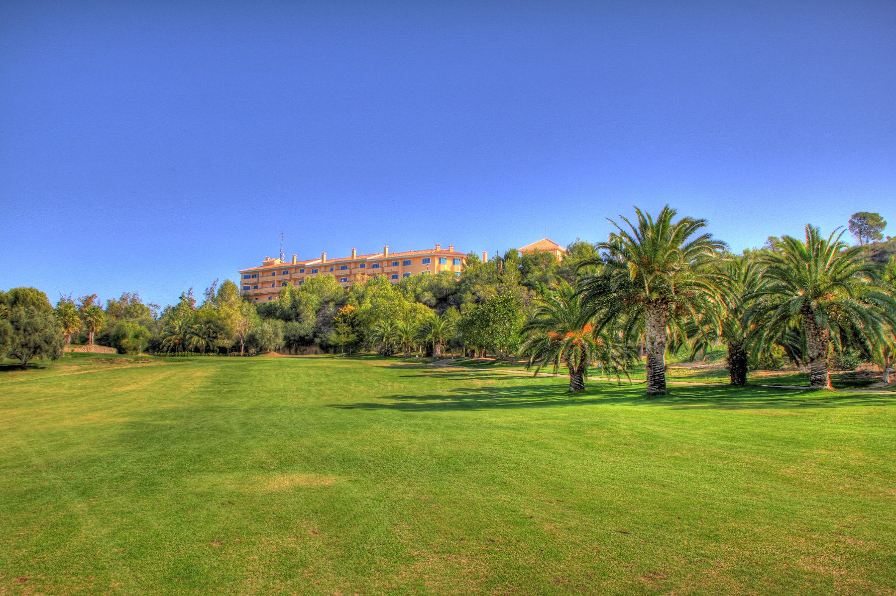 IMG_8842_0_1_tonemapped.jpg