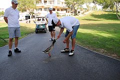 IMG_8456