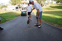 IMG_8466