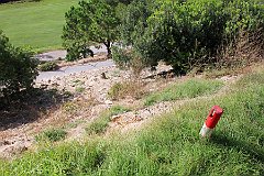 IMG_8511