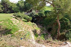 IMG_8513