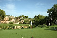 IMG_8519