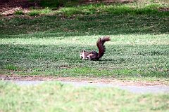 IMG_8532