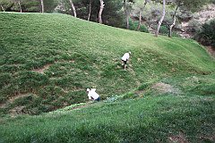 IMG_8540