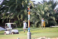 IMG_8649