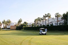 IMG_8656