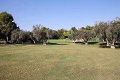 IMG_8676