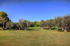 IMG_8679_7_8_tonemapped