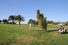 IMG_8779