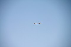 IMG_8794