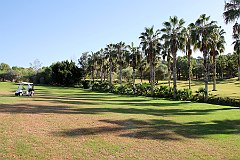 IMG_8810