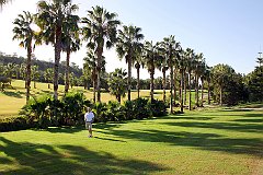 IMG_8811