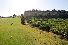 IMG_8815