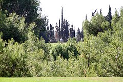 IMG_8830