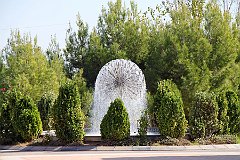 IMG_8852