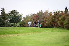 IMG_4690