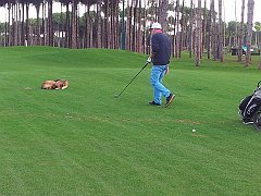 10502401_327206330796762_490926121287509051_n